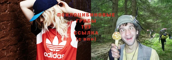 трава Баксан
