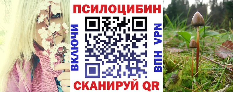Псилоцибиновые грибы мухоморы  Видное 
