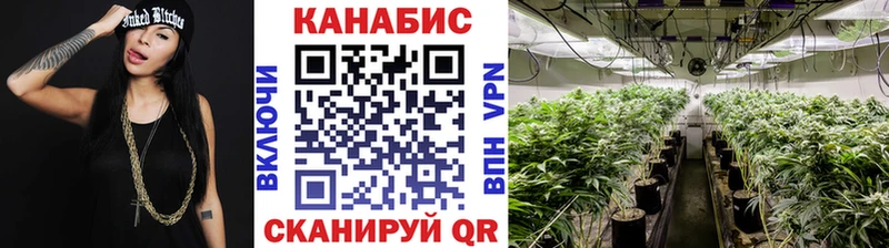 Шишки марихуана конопля  Видное 